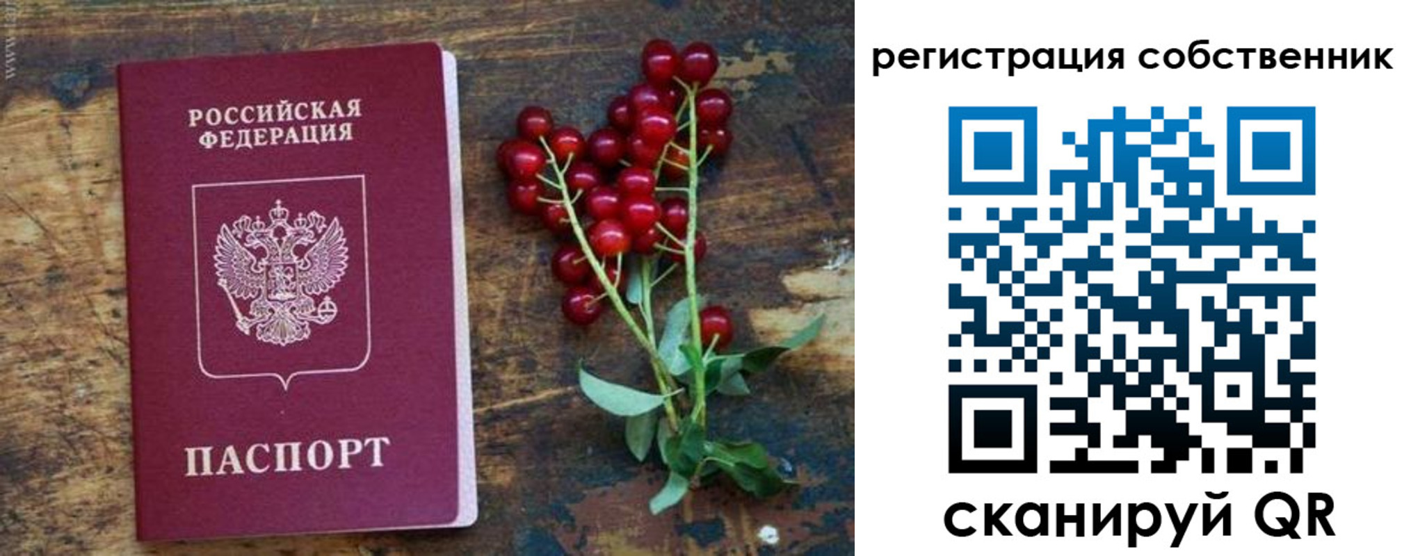 регистрация для дет. сада в Бологом